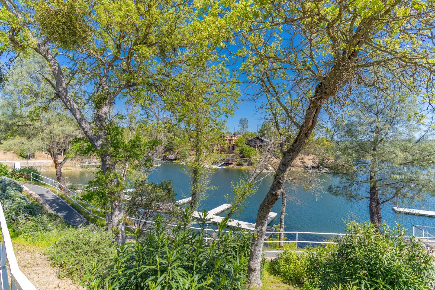 4983 Pueblo Trail Copperopolis, CA 95228 - Photo 18 of 23 a view of a tree in a garden