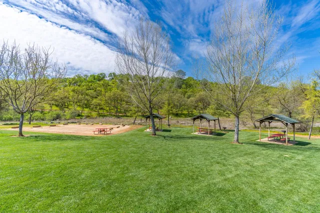 a view of a park with large trees