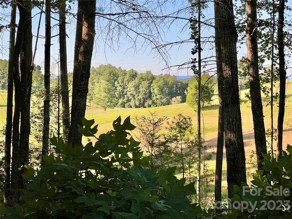 2032 Shadow Ridge Trail, Unit LOT G40 Lenoir, NC 28645 - Photo 2 of 25 a view of a yard of the tree