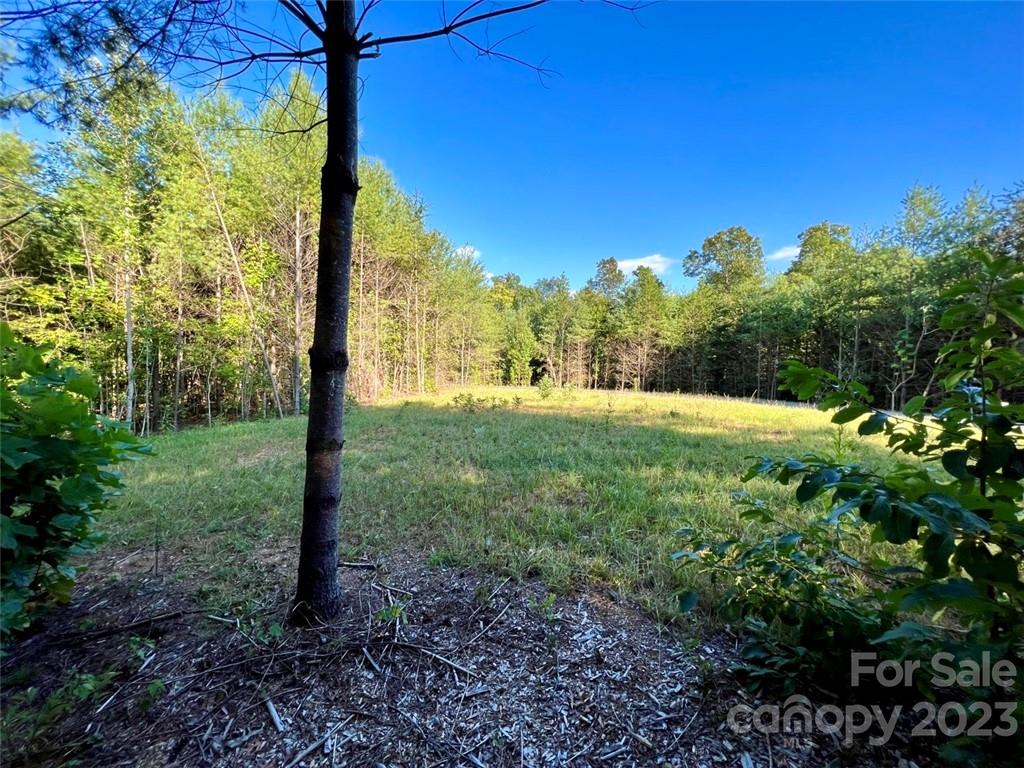 2032 Shadow Ridge Trail, Unit LOT G40 Lenoir, NC 28645 - Photo 3 of 25 a view of a yard with a tree