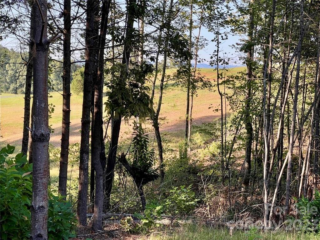 2032 Shadow Ridge Trail, Unit LOT G40 Lenoir, NC 28645 - Photo 4 of 25 a view of a forest