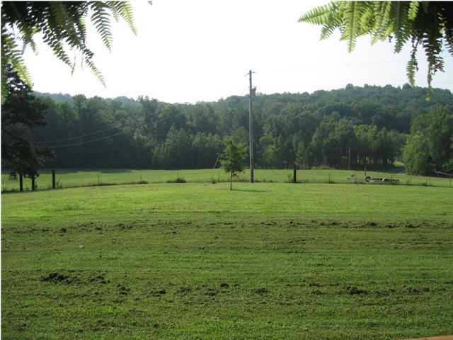 5965 Toestring Valley Road Spring City, TN 37381 - Photo 5 of 24 Additional Photo