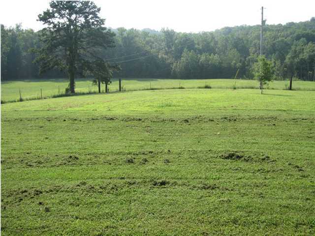 5965 Toestring Valley Road Spring City, TN 37381 - Photo 6 of 24 Additional Photo