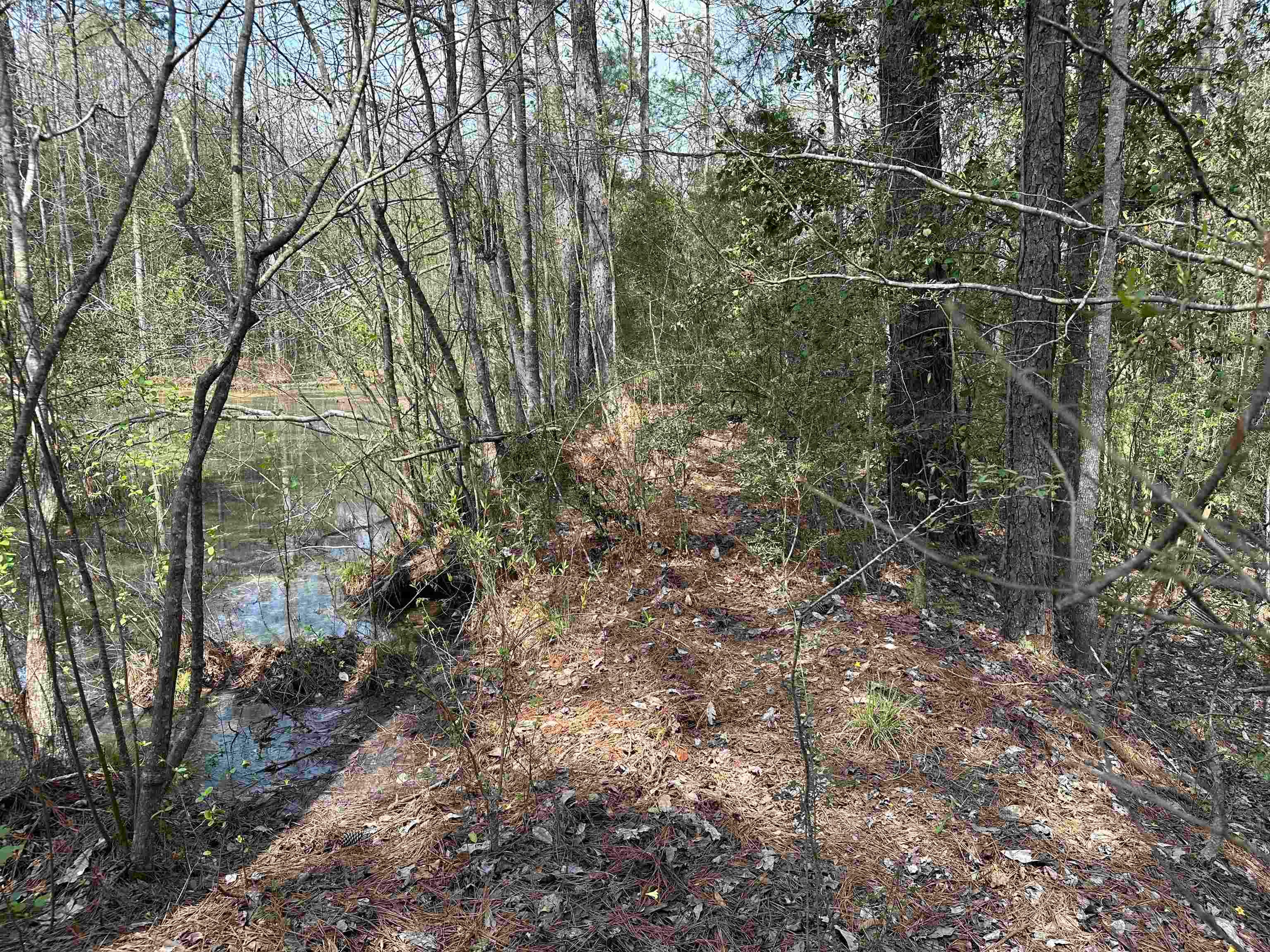 36625 Hesters Store Road Red Level, AL 36474 - Photo 24 of 47 Gallery Image 24