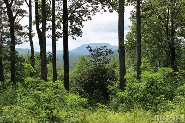 12 Whitewater Ridge Road Maggie Valley, NC 28751 - Photo 1 of 13 Gallery Image 1