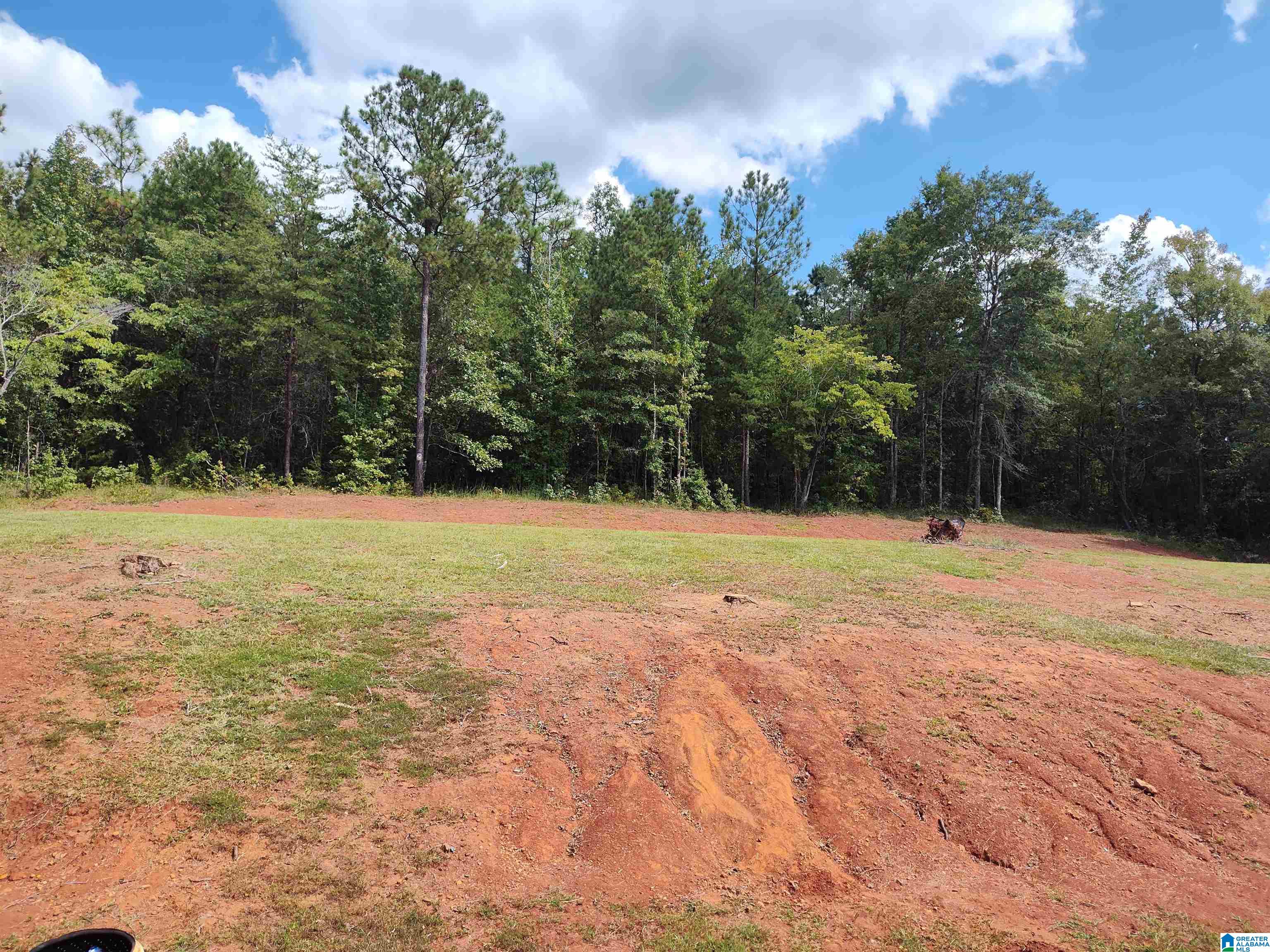 1425 Heasletts Road Childersburg, AL 35044 - Photo 8 of 28