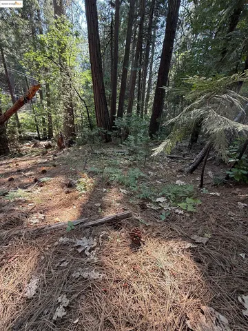 $20,000 | 24512 Keltz Mine Road, Sonora, CA 95370