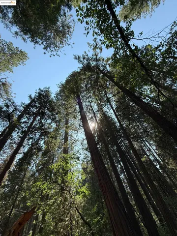 $20,000 | 24512 Keltz Mine Road, Sonora, CA 95370