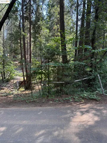 $20,000 | 24512 Keltz Mine Road, Sonora, CA 95370