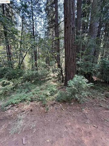 $20,000 | 24512 Keltz Mine Road, Sonora, CA 95370