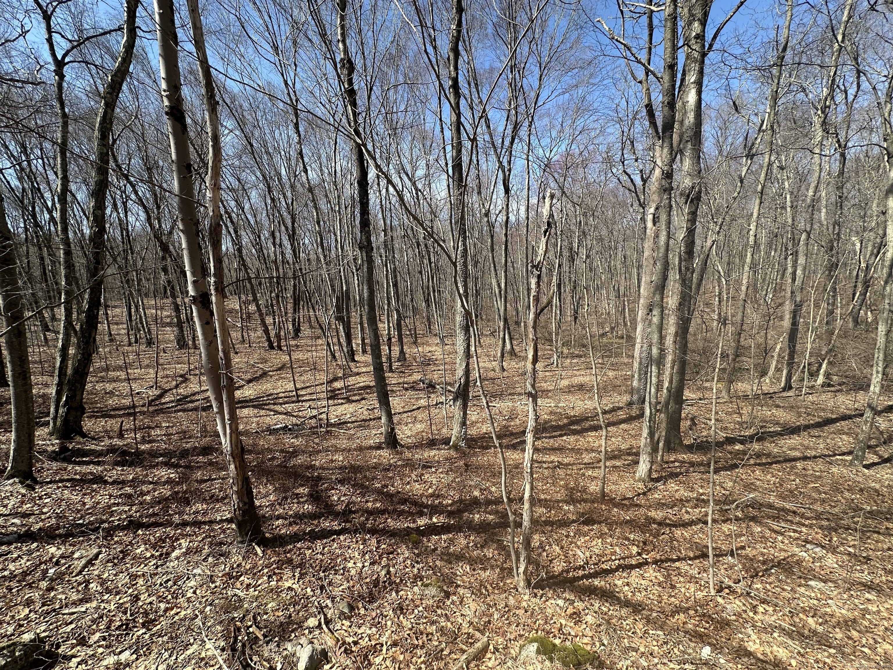 0 Cowles Road Woodbury, CT 06798 - Photo 10 of 12