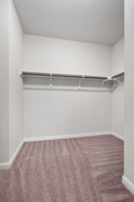 8301 Turnberry Lane Austin, TX 78744 - Photo 17 of 33 Walk in closet featuring dark carpet
