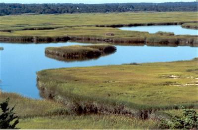 Undisclosed Address Barnstable, MA 02630 - Photo 5 of 13 a view of an ocean