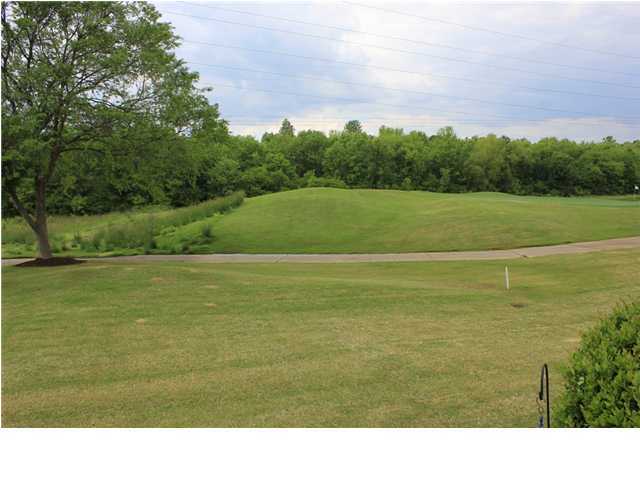 204 Blackwell Farm Road Chattanooga, TN 37421 - Photo 29 of 30 Additional Photo