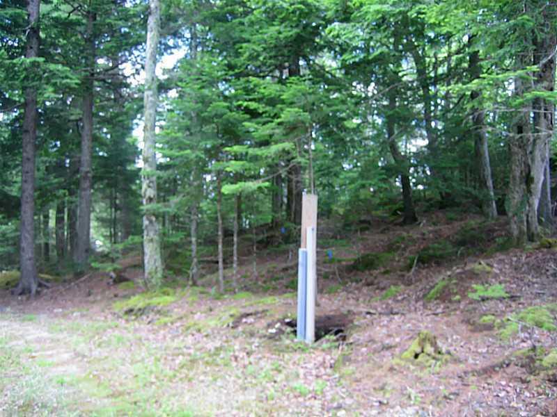 0 Gus Moore Road Blue Hill, ME 04614 - Photo 6 of 8 Land/Lot.