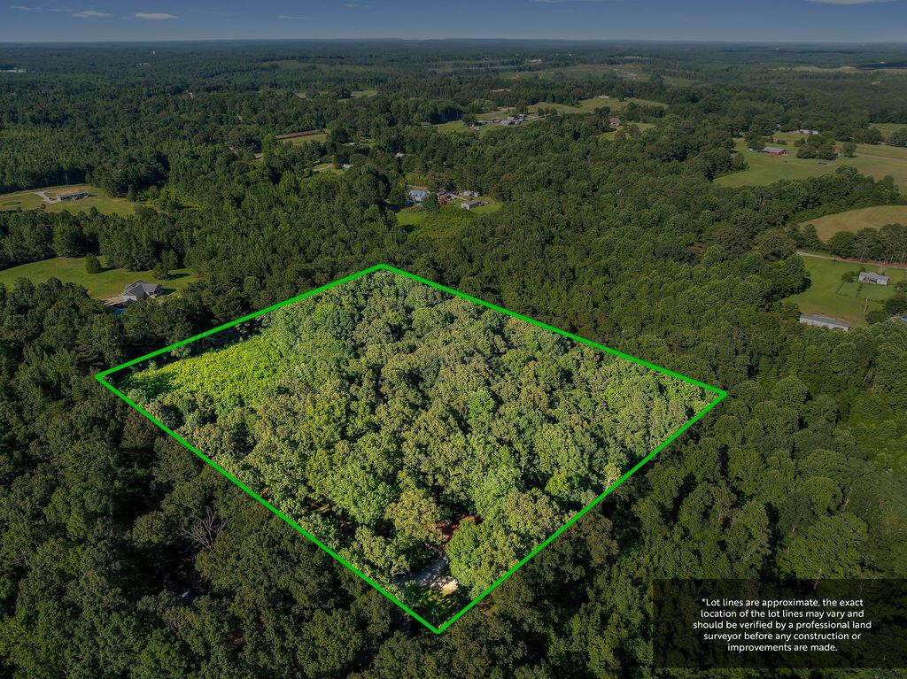 156 Barham Road Jasper, AL 35503 - Photo 31 of 37 DJI_20250715151634_0141_D-18-Edit-1