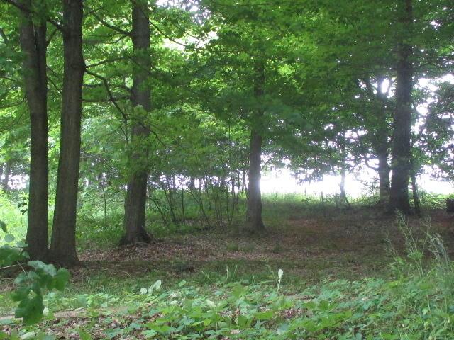 10389 Blacksnake Road Utica, OH 43080 - Photo 4 of 24 Gallery Image 4