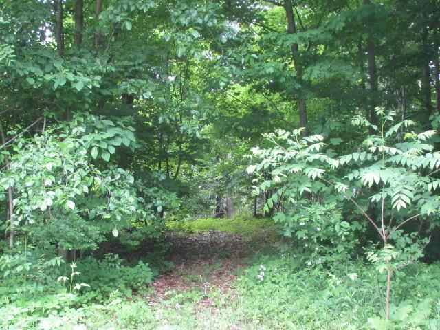 10389 Blacksnake Road Utica, OH 43080 - Photo 6 of 24 Gallery Image 6