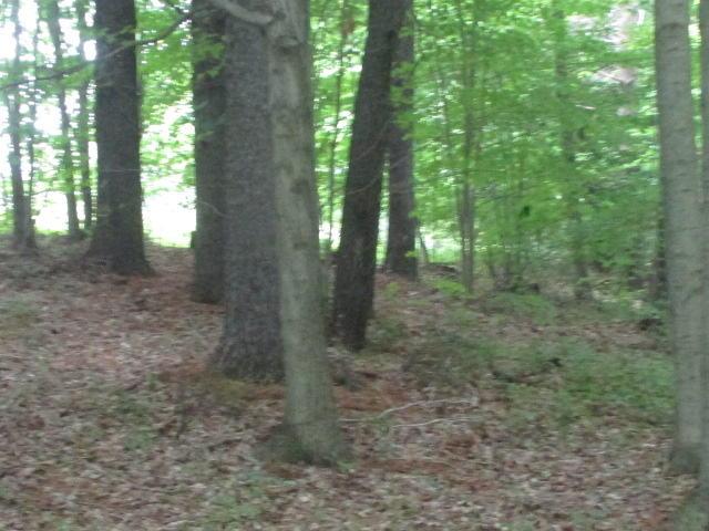 10389 Blacksnake Road Utica, OH 43080 - Photo 7 of 24 Gallery Image 7
