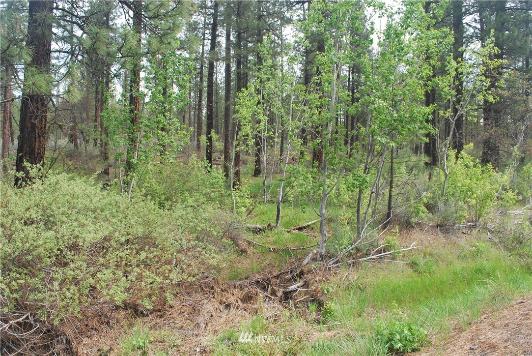 301 Box Canyon Road Goldendale, WA 98620 - Photo 3 of 3 Gallery Image 3