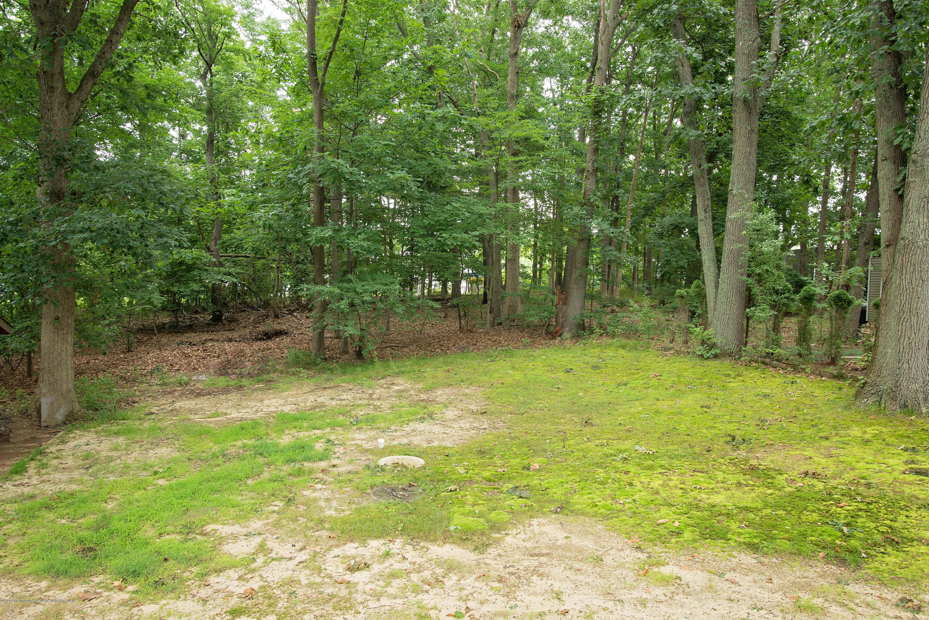 53 Fort Plains Road Howell, NJ 07731 - Photo 16 of 19 a backyard of a house with lots of green space and fountain