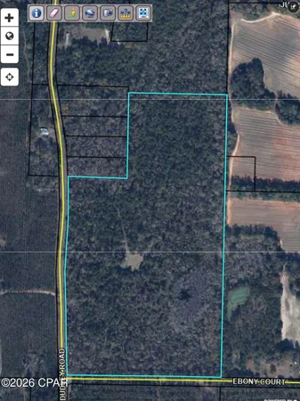$225,000 | 0 Dudley Road, Marianna, FL 32446