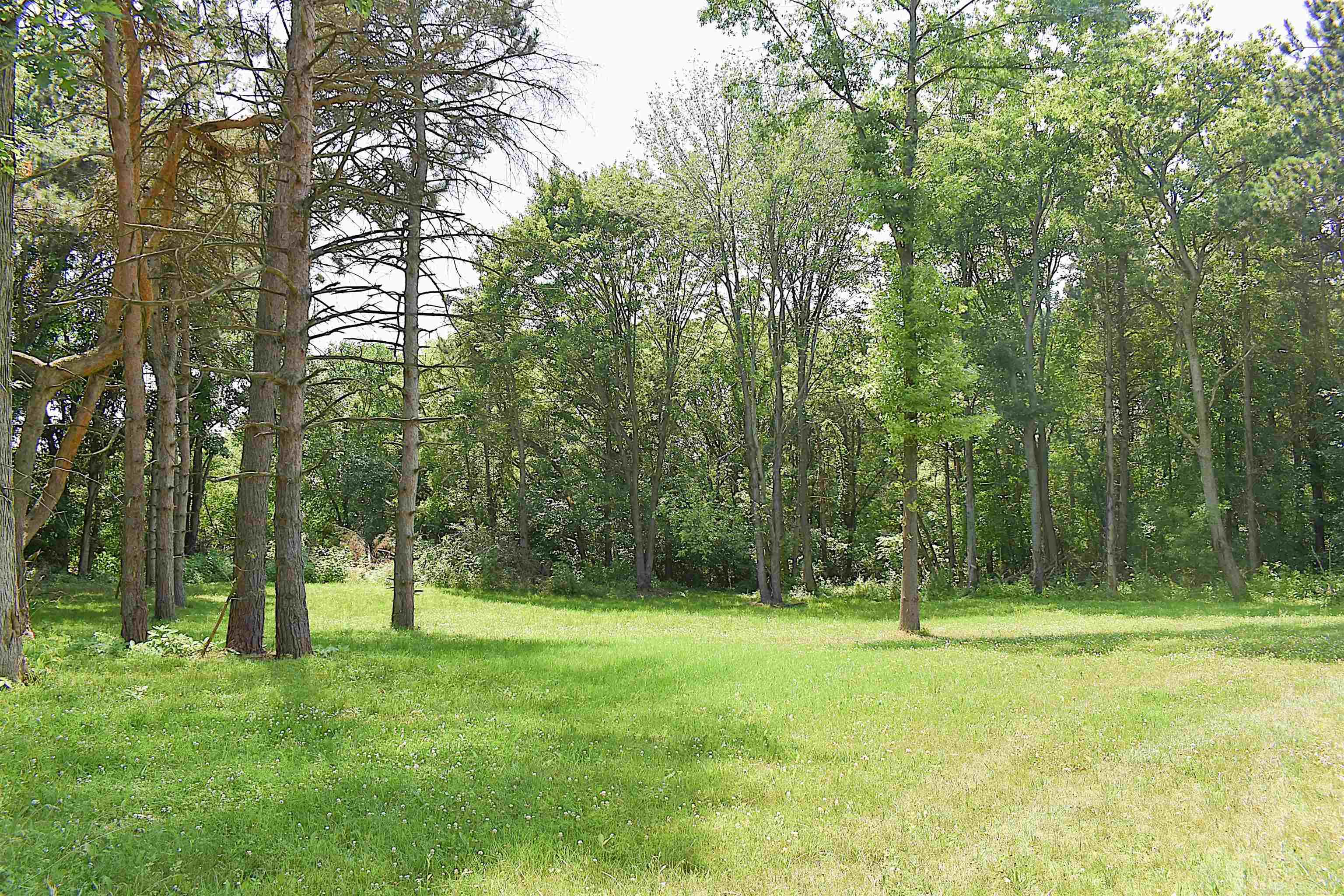 12446 Coolidge Road Goodrich, MI 48438 - Photo 17 of 21