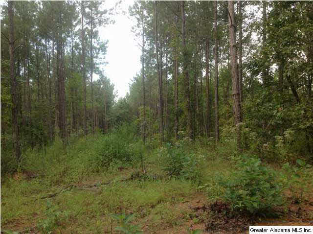 1900 Pepper Road, Unit 55 AC Ashland, AL 36251 - Photo 8 of 20
