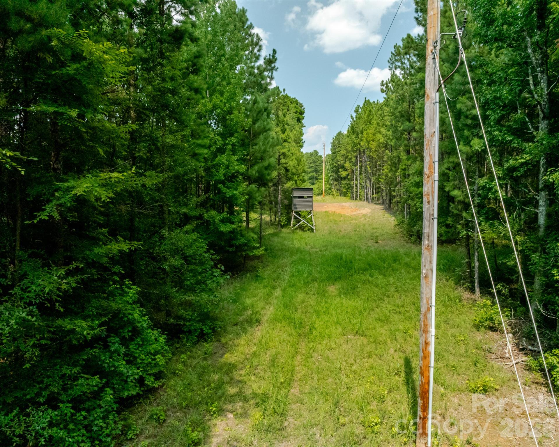 2682 Cold Springs Road Concord, NC 28025 - Photo 8 of 14 Gallery Image 8