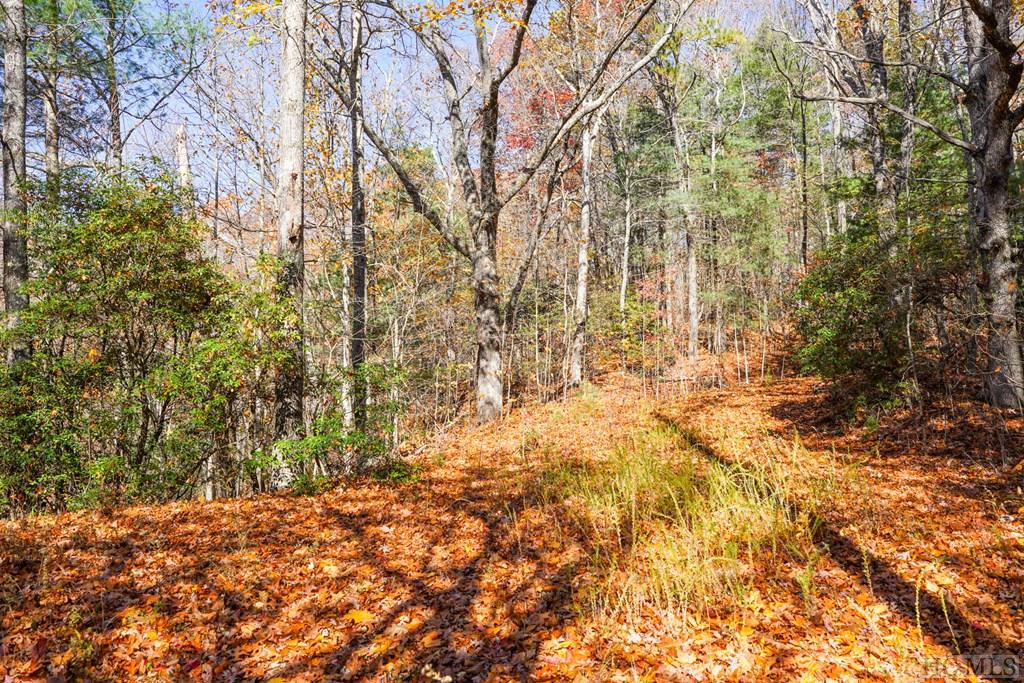 0 Silly Ridge Road Scaly Mountain, NC 28775 - Photo 2 of 5 Gallery Image 2