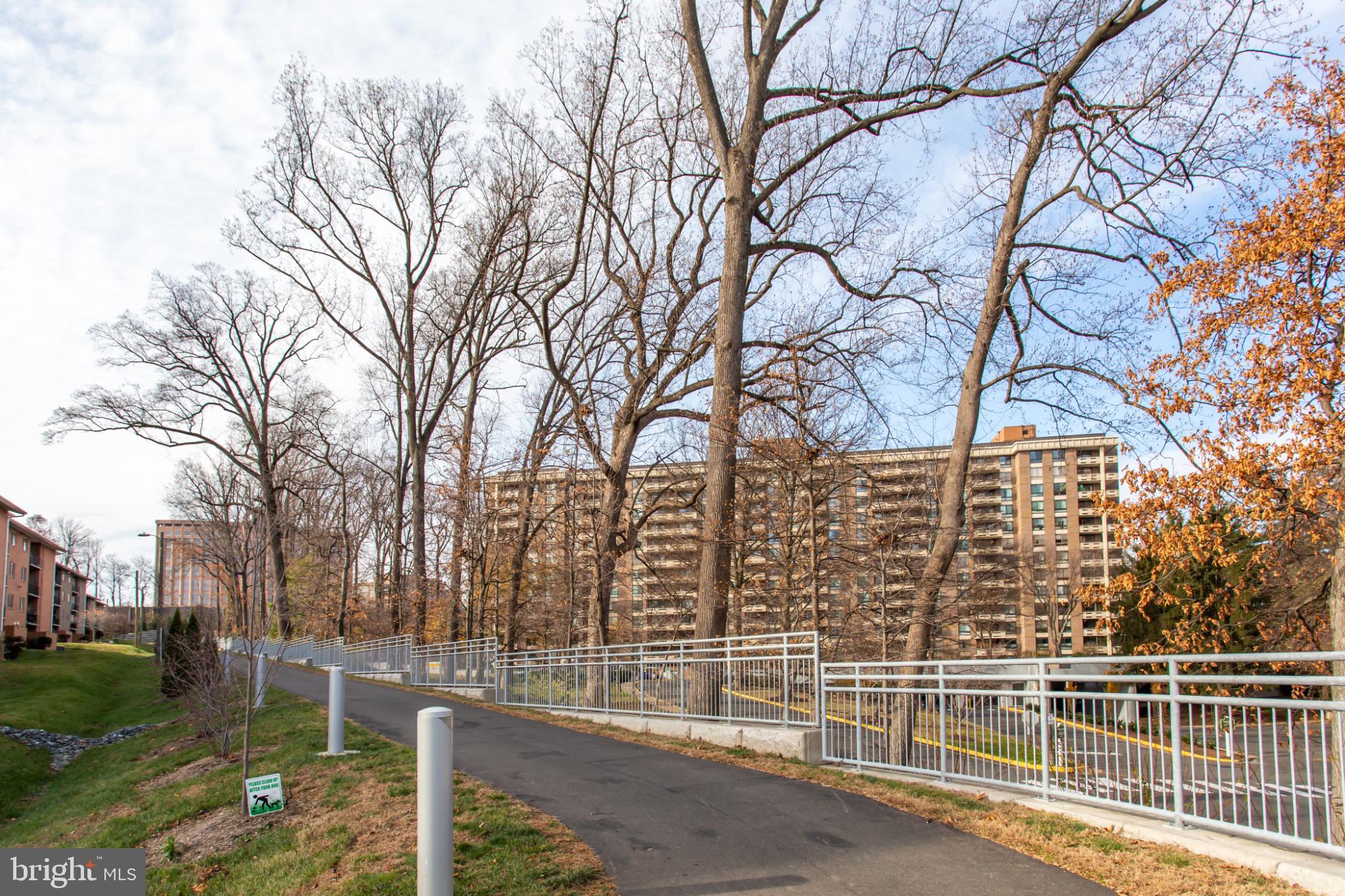 1808 Old Meadow Road, Unit 1012 McLean, VA 22102 - Photo 52 of 62 Scenic pathway lined with bare trees.