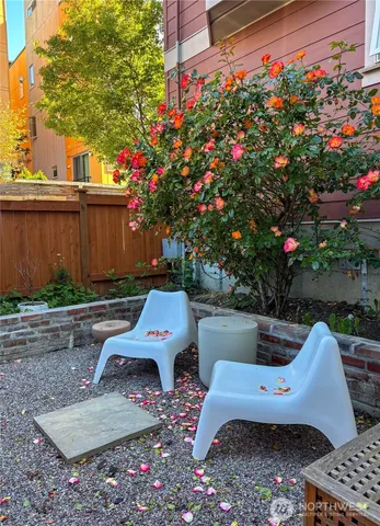 a view of a backyard with plants and outdoor seating