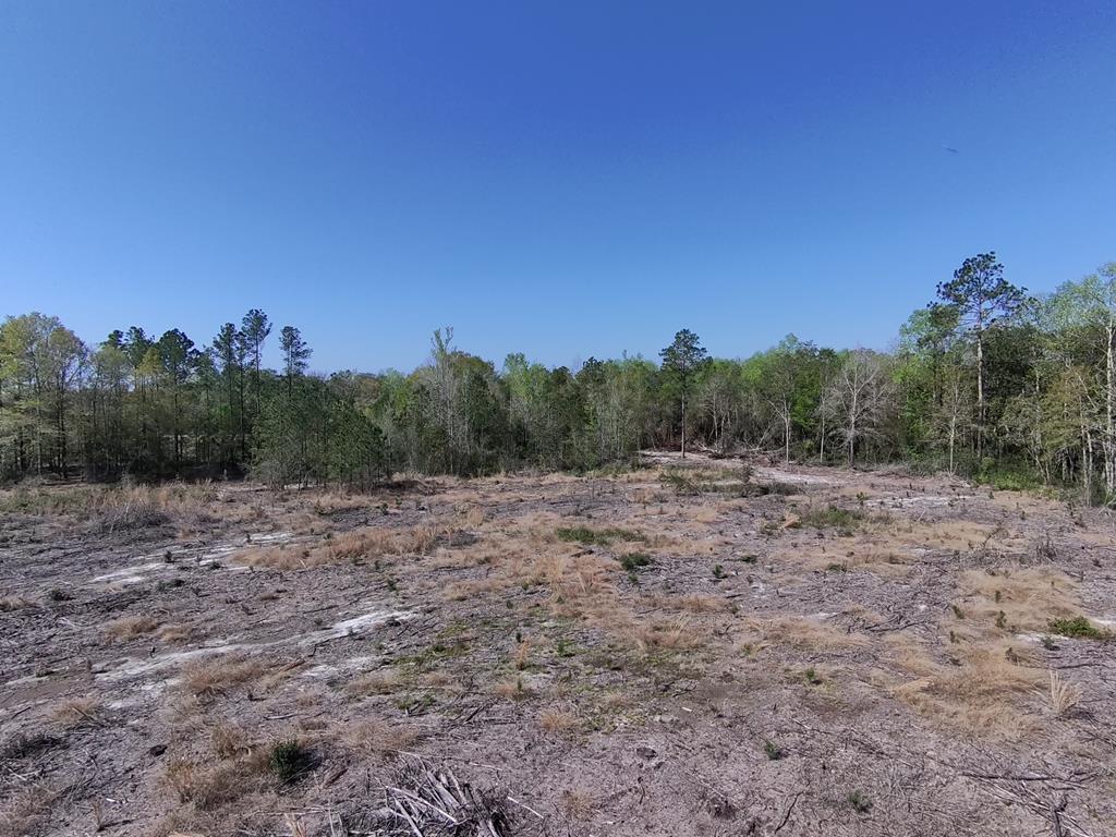 87 Highway 87 Samson, AL 36477 - Photo 21 of 47