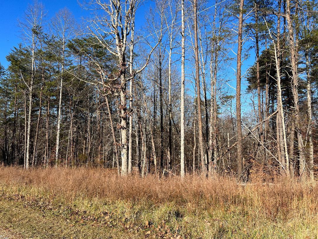 Lot 10 Barrett Road Hardy, VA 24101 - Photo 2 of 3 lot 10 barrett 2