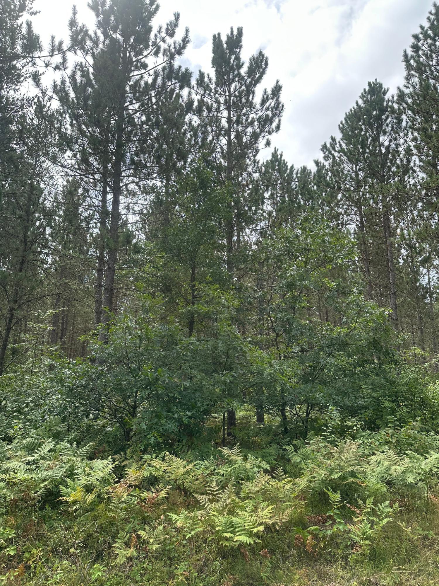 On Lee Road, Unit LOT 3 Tomahawk, WI 54487 - Photo 1 of 1