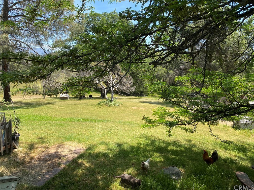 5172 Cole Road Mariposa, CA 95338 - Photo 1 of 1 Gallery Image 1