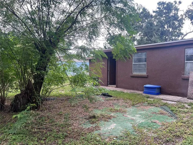 a view of a backyard with large trees