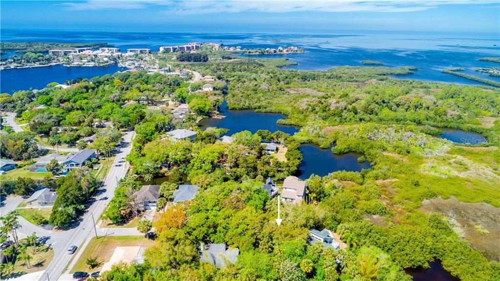 Damen Ln Port Port Richey, FL 34668 - Photo 1 of 1