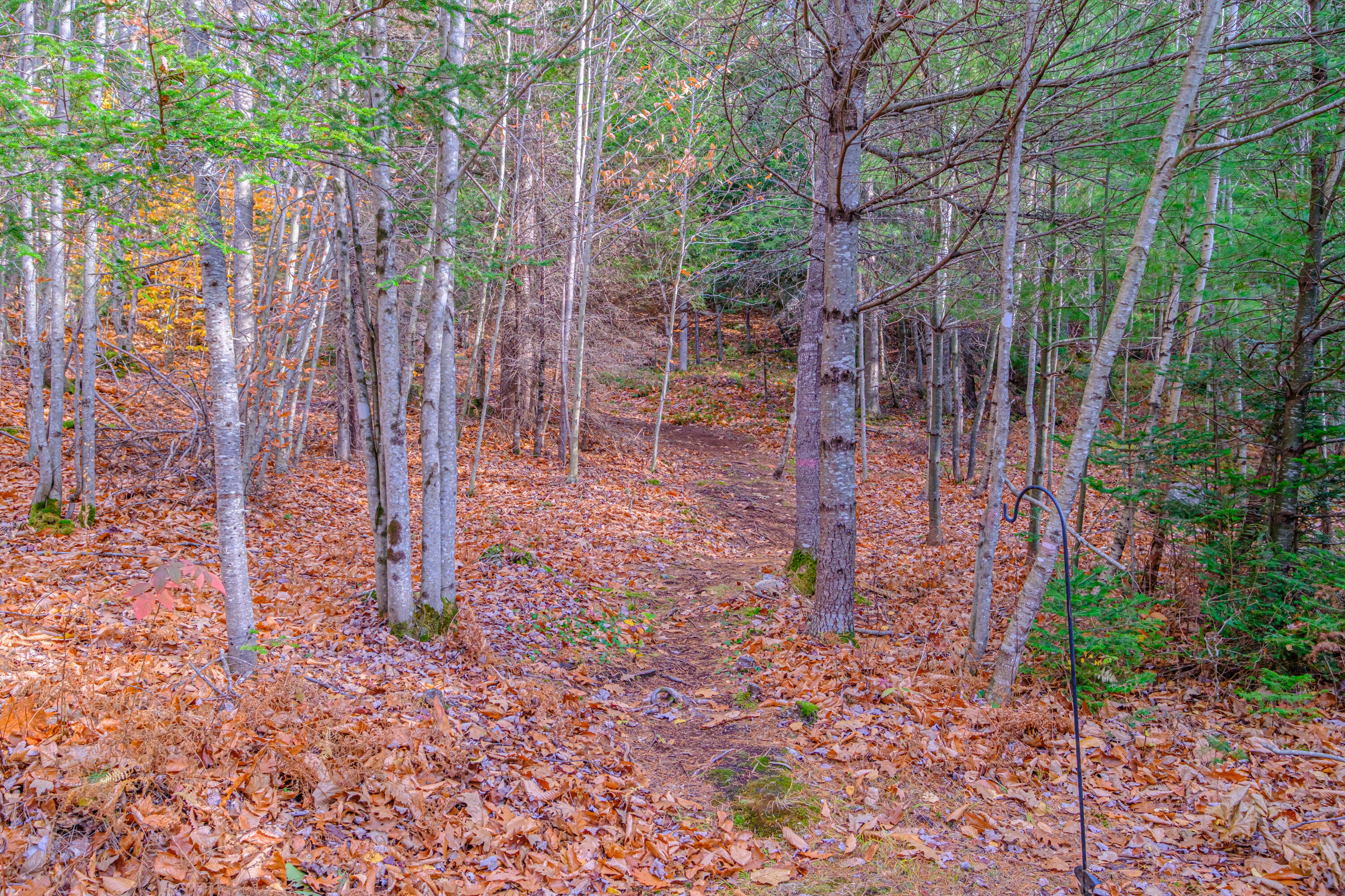 304 Dunn Road Norway, ME 04268 - Photo 102 of 121 20251103gp-61099