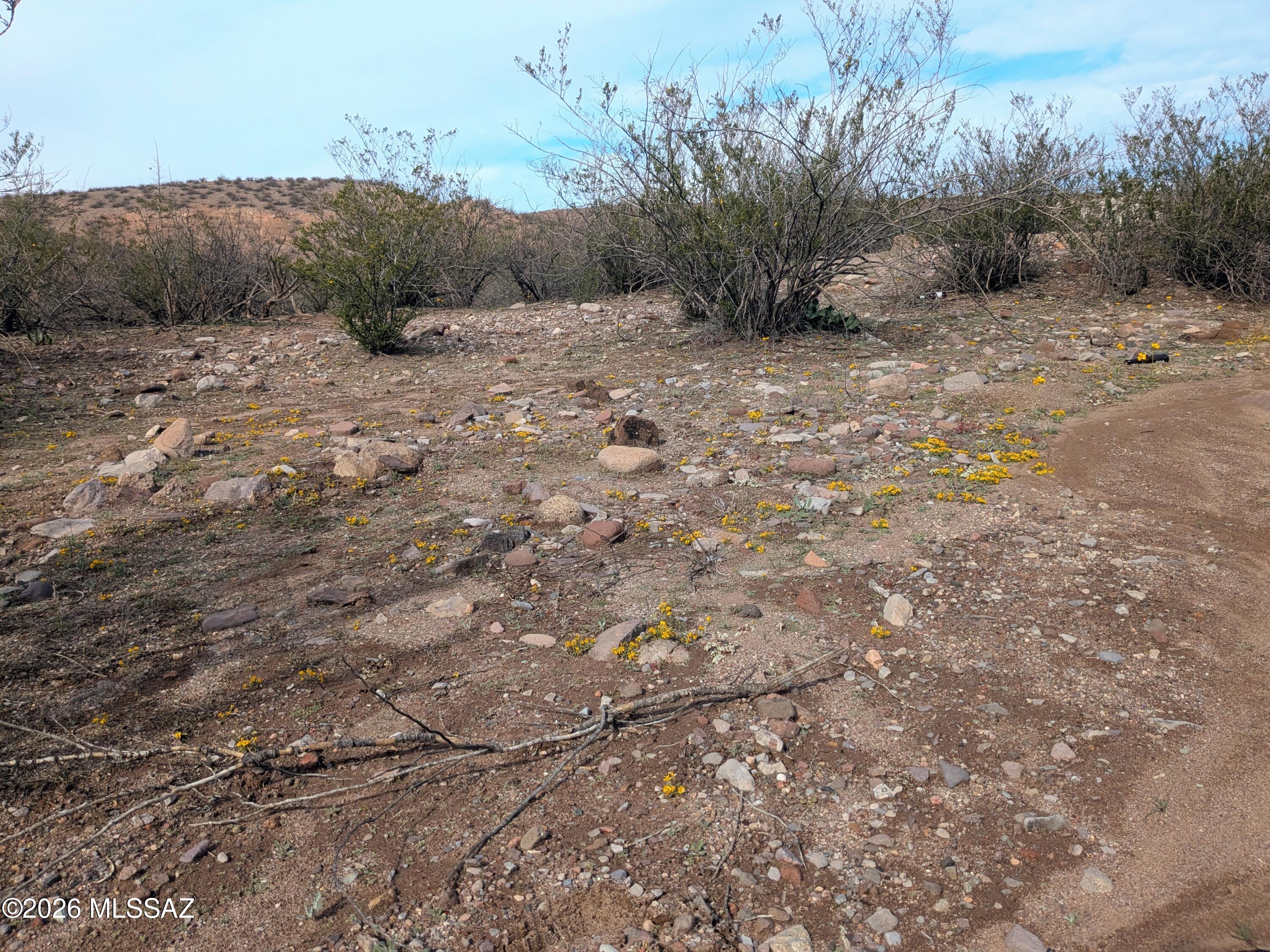 Tbd La Canada Road Duncan, AZ 85534 - Photo 6 of 6