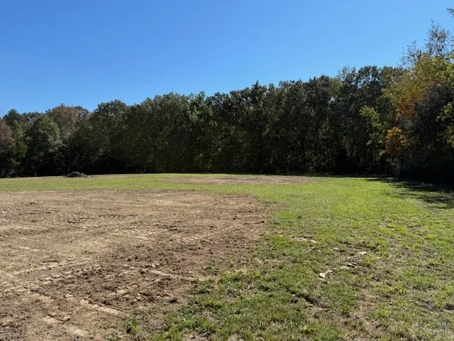 a view of a field with trees in the background