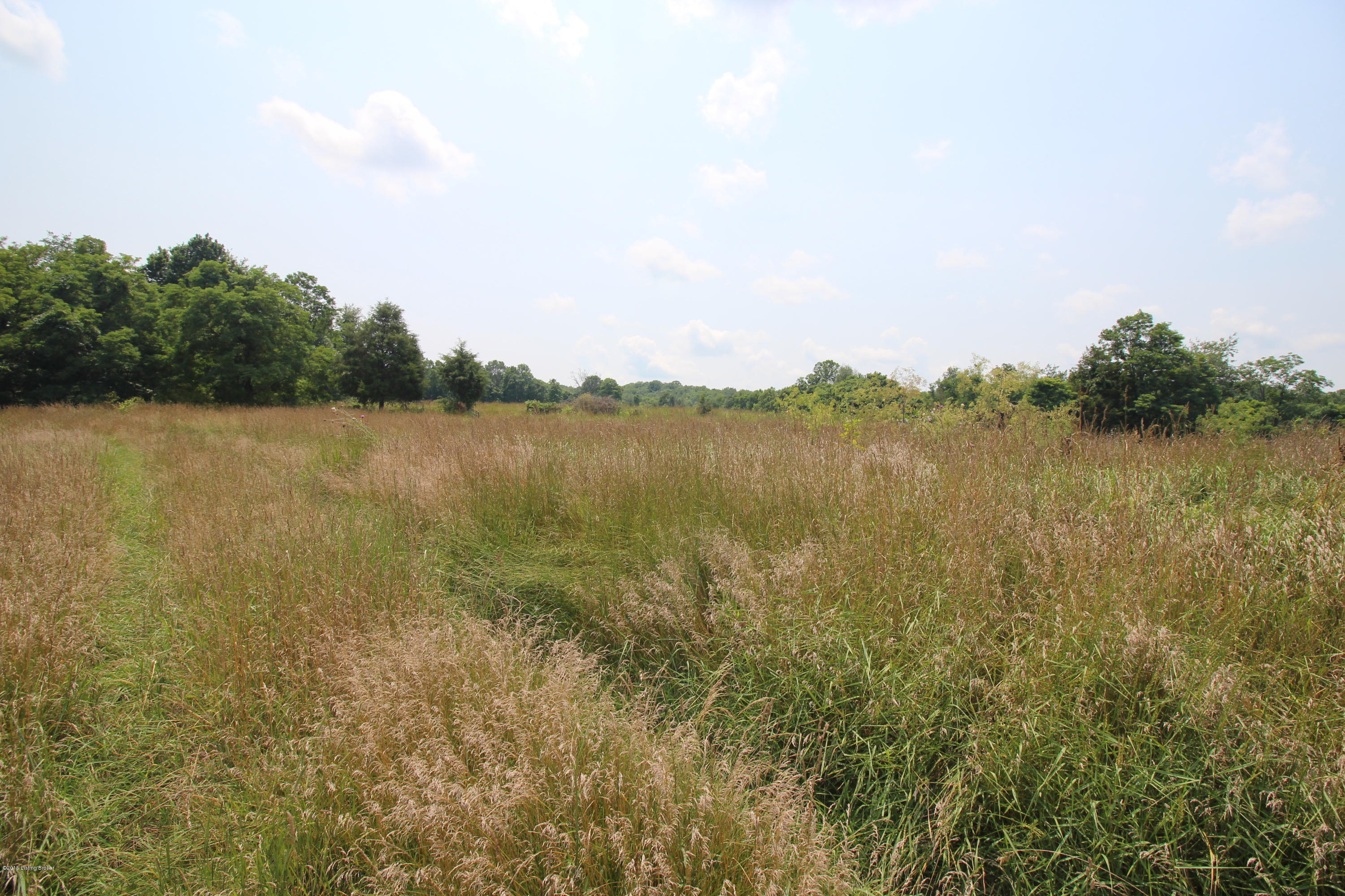 0 Stevens Branch Road Pleasureville, KY 40057 - Photo 10 of 14 017