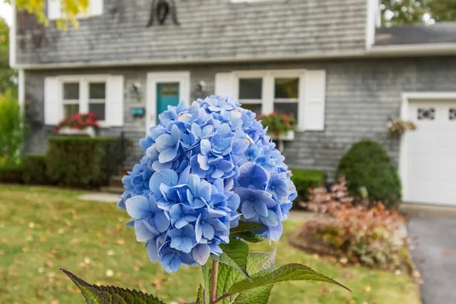 $545,000 | 15 Blondin Circle, Burlington, VT 05408