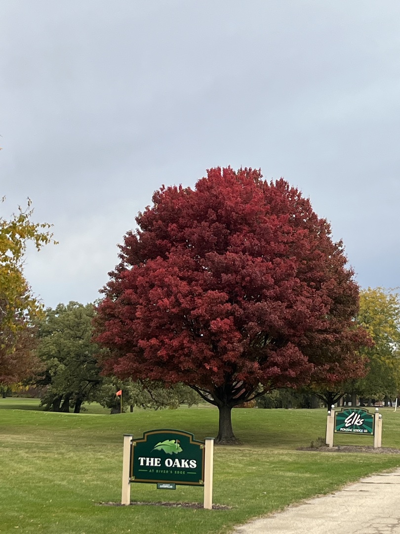 1713 Bob O Link Street Pontiac, IL 61764 - Photo 17 of 17 a view of a golf course with a tree