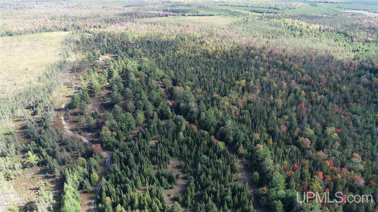 1480 Acres On Co Road Manistique, MI 49854 - Photo 42 of 49