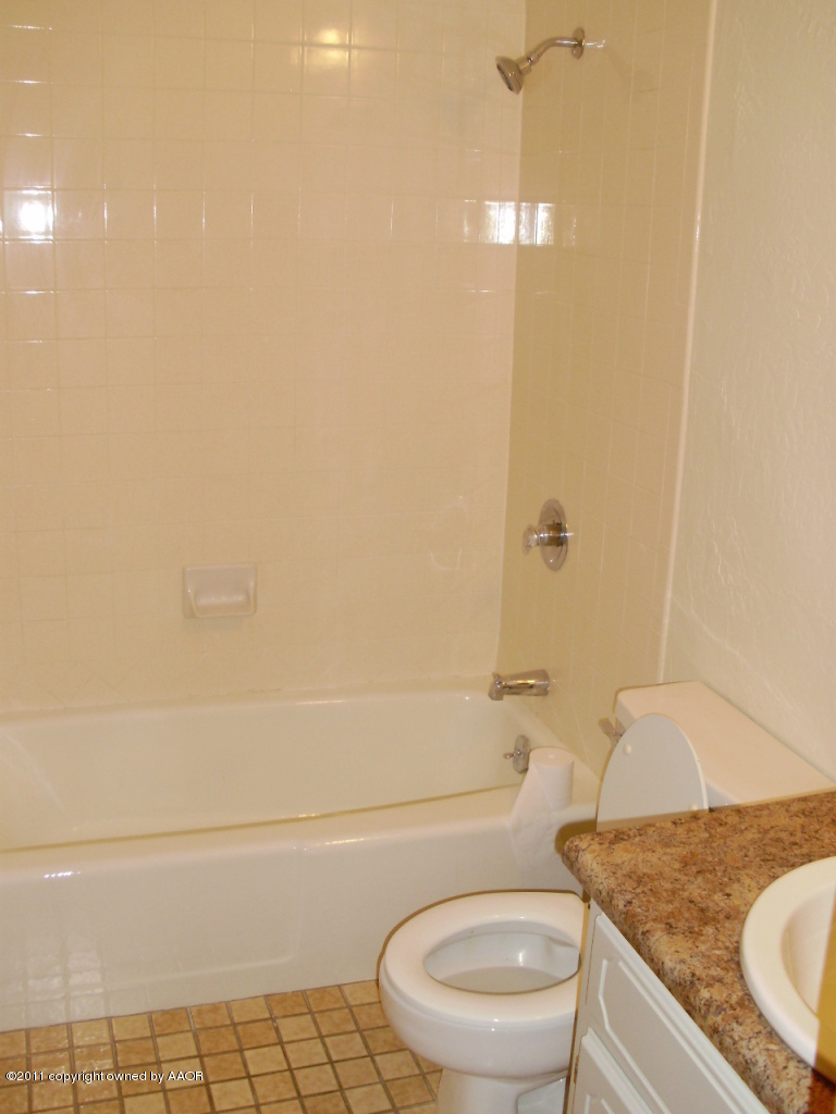 8701 Circle Drive Amarillo, TX 79110 - Photo 9 of 19 Hall Bath