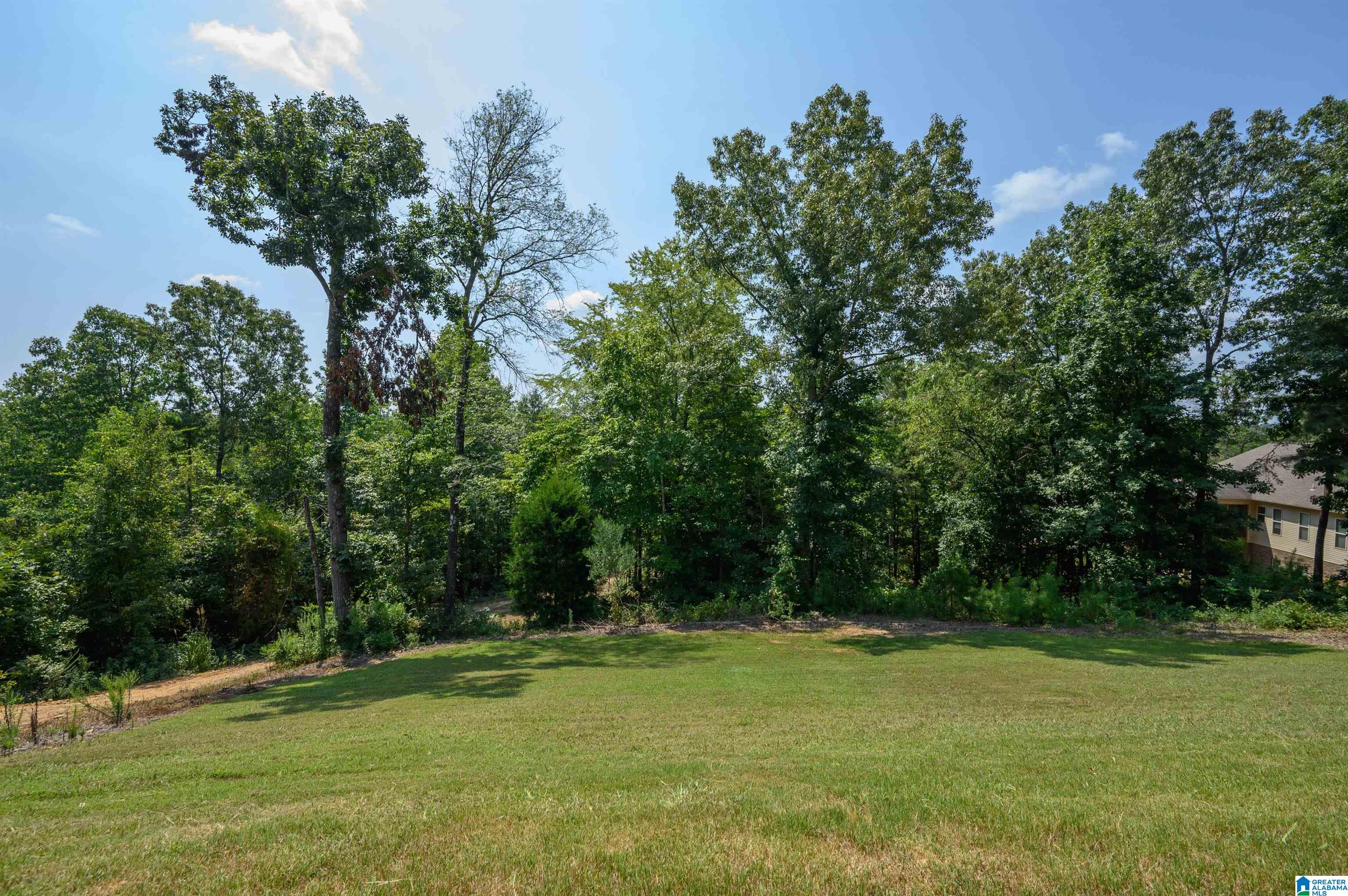 2166 Chelsea Rdg Drive Columbiana, AL 35051 - Photo 49 of 50