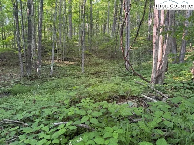 $7,500 | Lot 59 Beechwood Circle, Creston, NC 28615