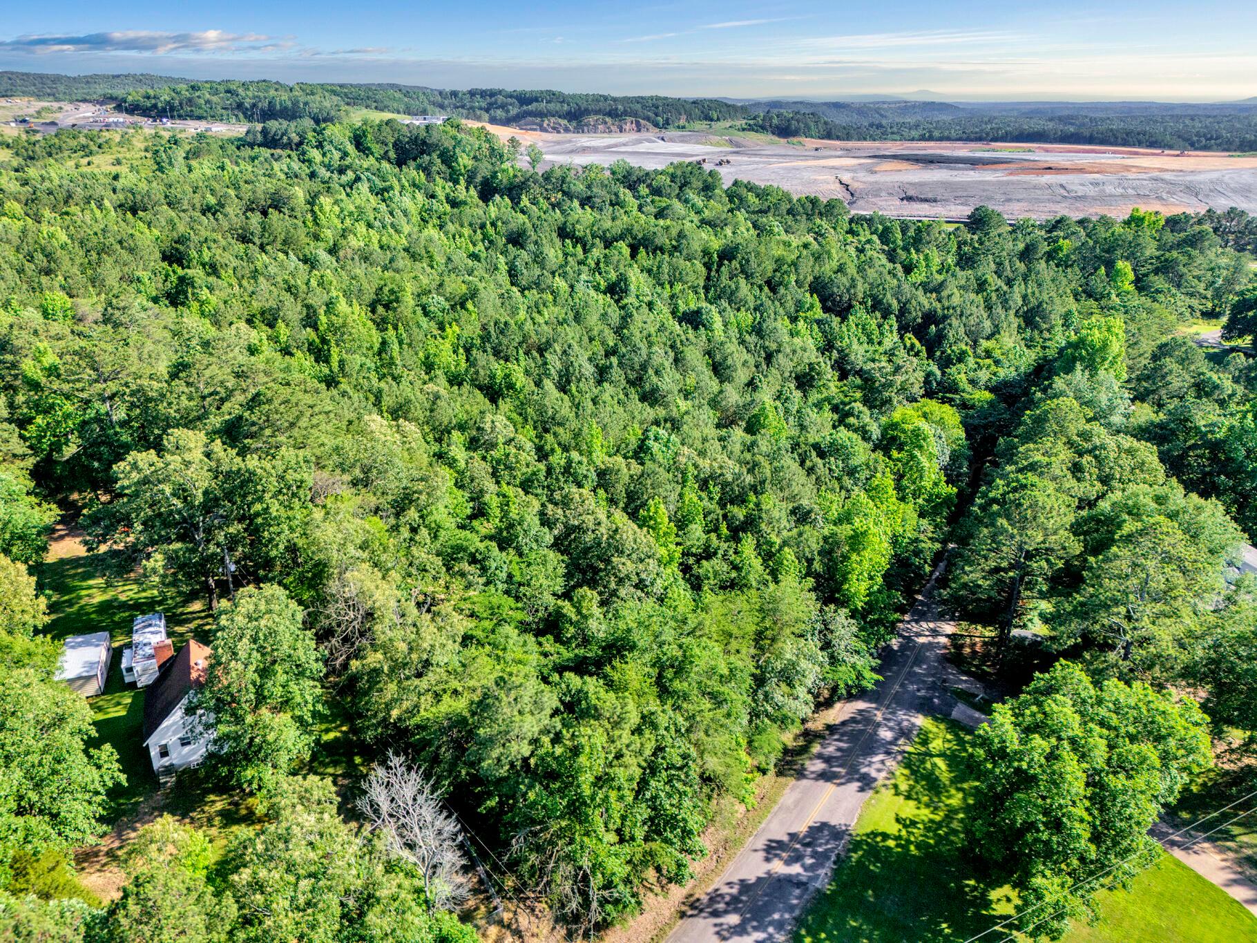 4290 Woodruff Road Adamsville, AL 35005 - Photo 18 of 20 Aerial View