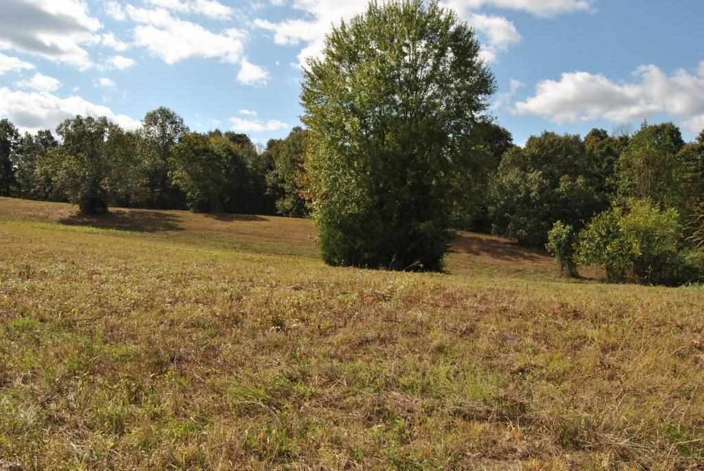 0 North Ashallen Road Morgantown, KY 42261 - Photo 4 of 7 Gallery Image 4